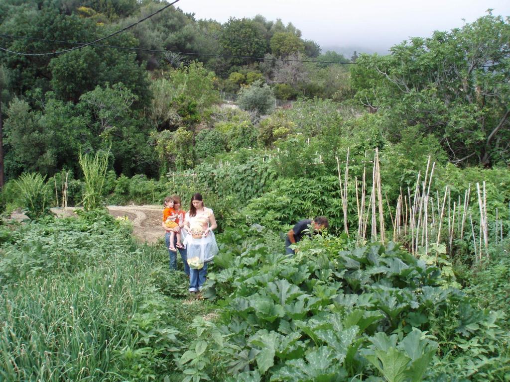 Marinos Studios At Lourdata Village 外观 照片