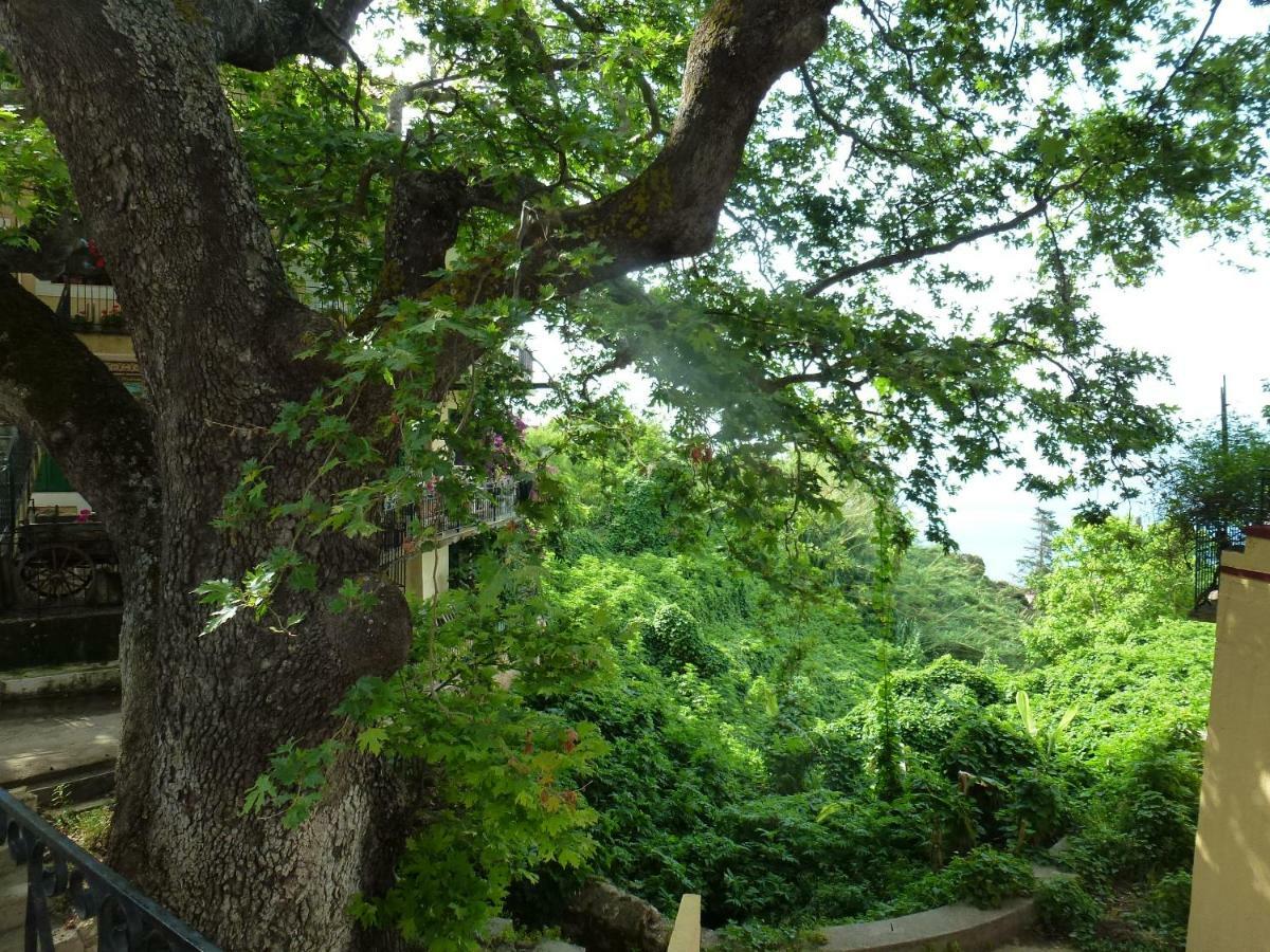 Marinos Studios At Lourdata Village 外观 照片